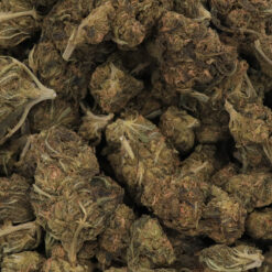 OG Kush Strain Flower - Sativa Dominant Hybrid