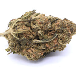 OG Kush Strain Flower - Sativa Dominant Hybrid