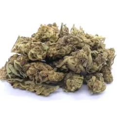 OG Kush Strain Flower - Sativa Dominant Hybrid