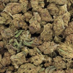 OG Kush Strain Flower - Sativa Dominant Hybrid