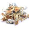 Golden Teachers Mushrooms