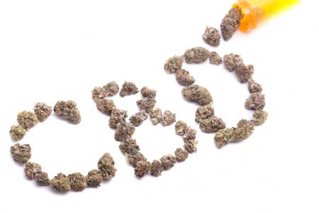 CBD - The One For You