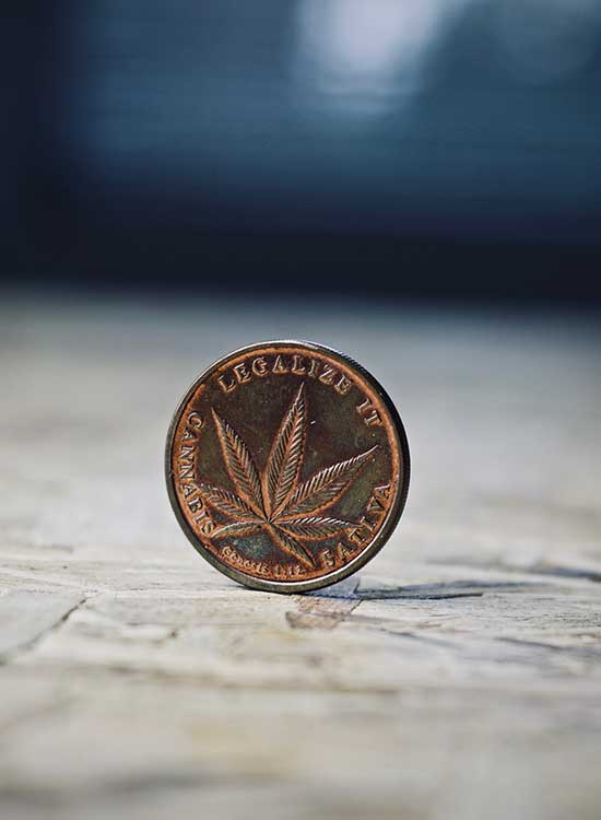 Bloom or Bust? Cannabis Market forecasts in Canada