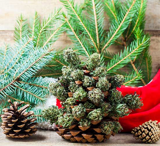 Things to be Cautious of