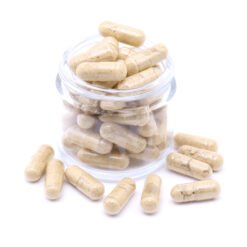 Golden Teachers Capsules (100mg Psilocybin + Lions Mane)