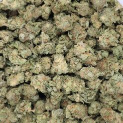 Skywalker OG Strain Small Buds - Indica Dominant Hybrid Skywalker OG Strain Small Buds - Indica Dominant Hybrid