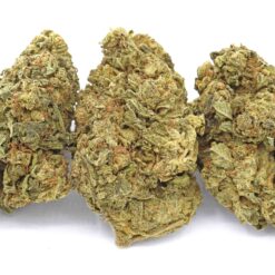 Blue Gelato Strain - Indica Dominant Hybrid (Wholesale) Blue Gelato Strain - Indica Dominant Hybrid (Wholesale)