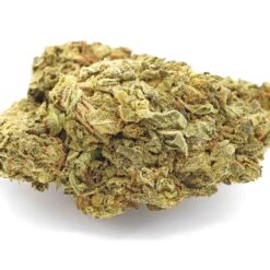 Blue Gelato Strain - Indica Dominant Hybrid (Wholesale)