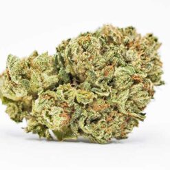 Platinum Cookies Strain Small Buds - Hybrid