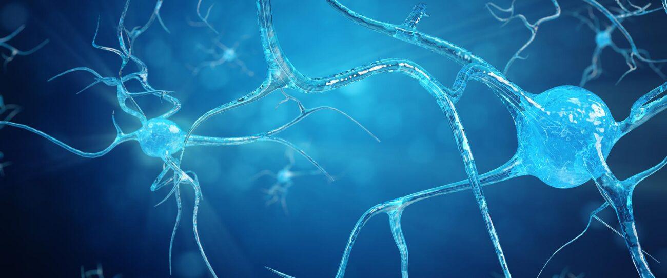 The Science: Neurogenesis and Brain Health