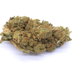 Mango Dream Strain Flower - Hybrid