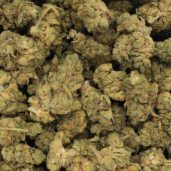 Mango Dream Strain Flower - Hybrid