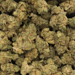 Mango Dream Strain Flower - Hybrid Mango Dream Strain Flower - Hybrid