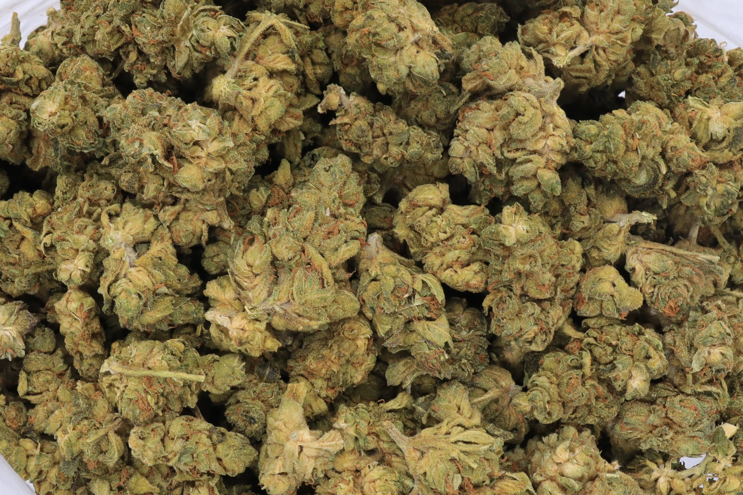 Mango Dream Strain Flower - Hybrid Mango Dream Strain Flower - Hybrid