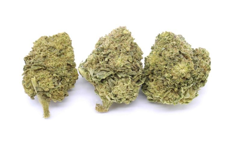 Mango Dream