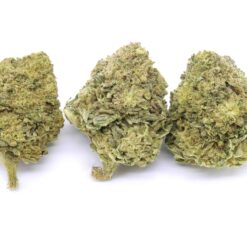 Mango Dream Strain Flower - Hybrid Mango Dream Strain Flower - Hybrid