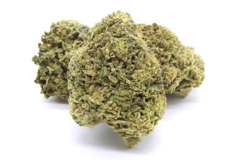 Mango Dream