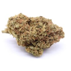 Mimosa Strain Flower - Sativa Dominant Hybrid