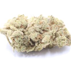 Mimosa Strain Flower - Sativa Dominant Hybrid