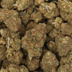 Mimosa Strain Flower - Sativa Dominant Hybrid