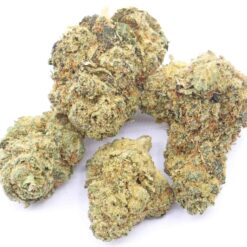 Pineapple Cookies Strain Small Buds - Indica Dominant Hybrid Pineapple Cookies Strain Small Buds - Indica Dominant Hybrid