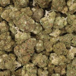 Platinum Cookies Strain Flower - Hybrid Platinum Cookies Strain Flower - Hybrid