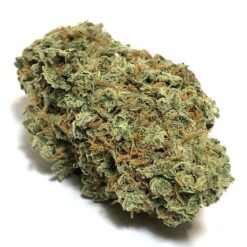 Blue Widow Strain AAA Small Buds - Hybrid