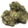 Scout Master Strain Flower - Sativa Dominant Hybrid Scout Master Strain Flower - Sativa Dominant Hybrid