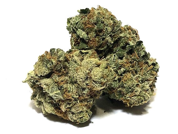 Scout Master - Sativa Dominant Hybrid