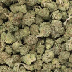 Blue Widow Strain AAA Small Buds - Hybrid