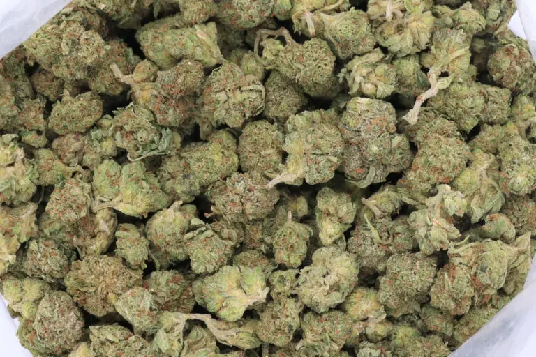 Blue Widow