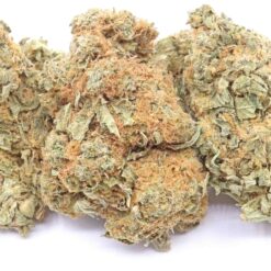 Gosh Strain Flower - Hybrid Gosh Strain Flower - Hybrid