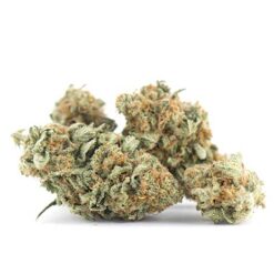 Strawberry Cough Strain Flower - Sativa Dominant Hybrid