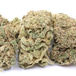 Holy Grail Strain Flower - Hybrid Holy Grail Strain Flower - Hybrid