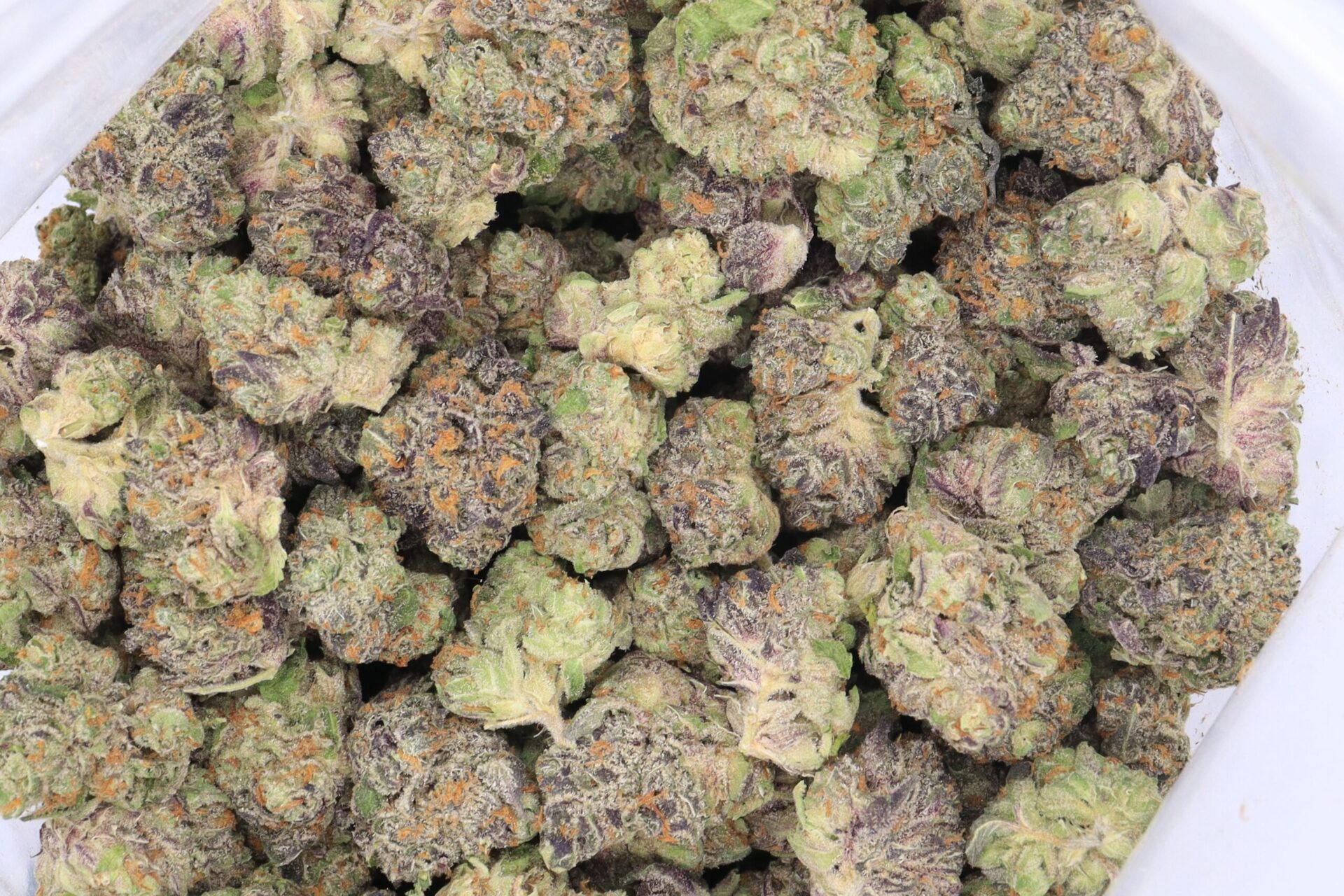 Holy Grail OG Strain Flower - Indica Dominant Hybrid Holy Grail OG Strain Flower - Indica Dominant Hybrid