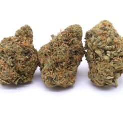 Master Kush Strain Flower - Indica Dominant Hybrid Master Kush Strain Flower - Indica Dominant Hybrid
