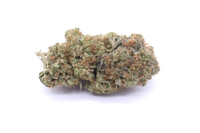 Northern Lights