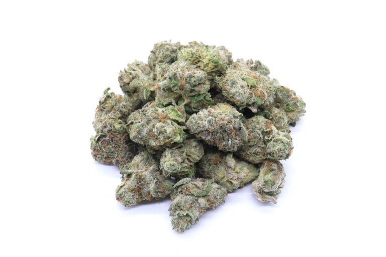 Scout Master Strain Small Buds - Sativa Dominant Hybrid