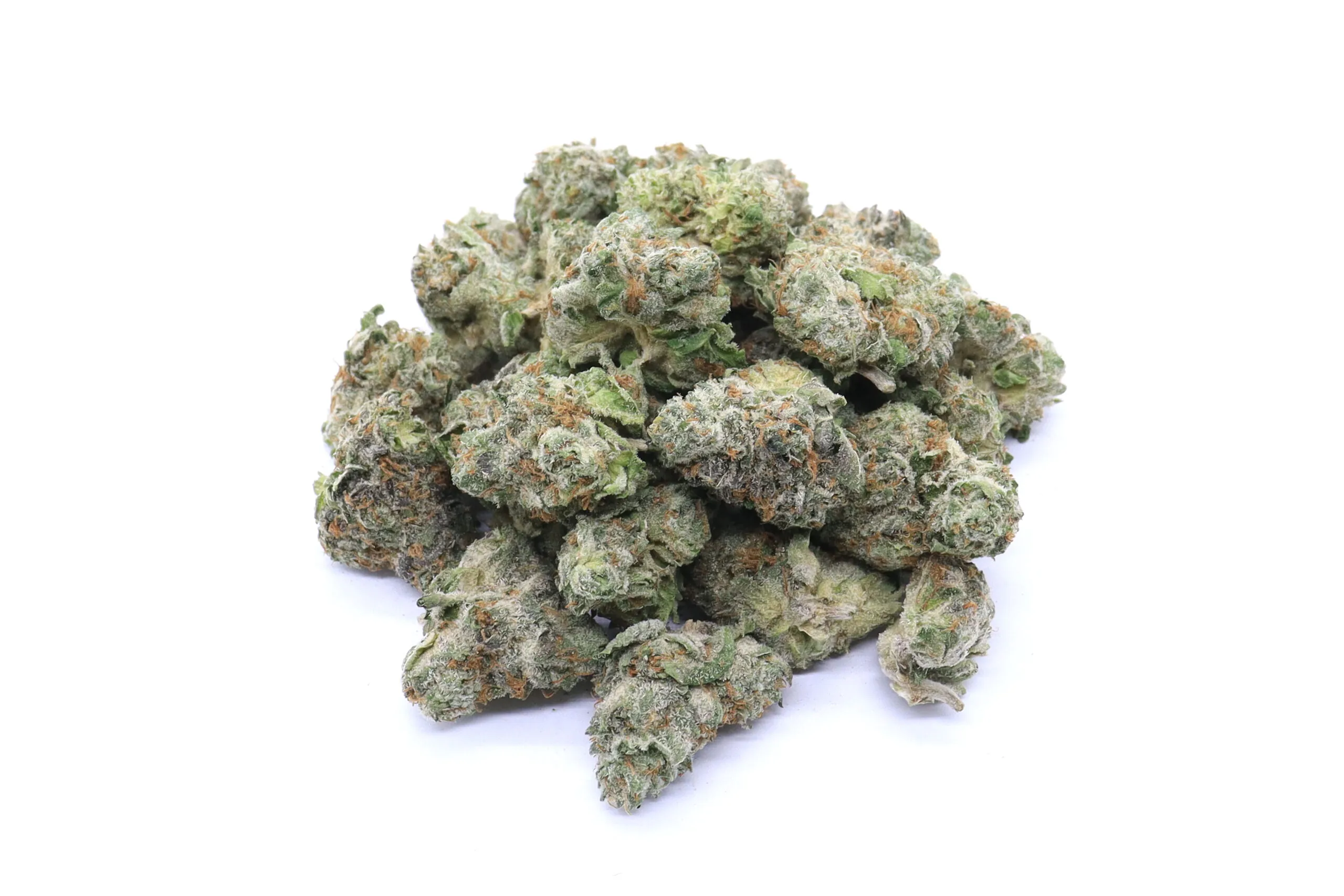 Scout Master Strain Small Buds - Sativa Dominant Hybrid