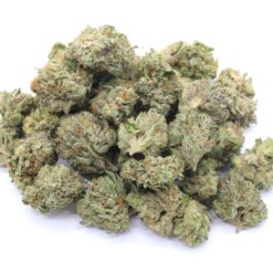 Sour Bubba Strain AAA Small Buds - Indica