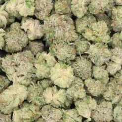 Sour Bubba Strain AAA Small Buds - Indica