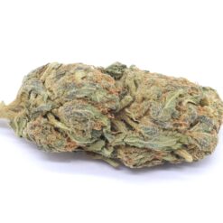 Strawberry Cough Strain Flower - Sativa Dominant Hybrid Strawberry Cough Strain Flower - Sativa Dominant Hybrid