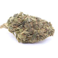 Strawberry Cough Strain Flower - Sativa Dominant Hybrid