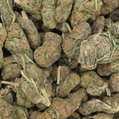 Strawberry Cough Strain Flower - Sativa Dominant Hybrid Strawberry Cough Strain Flower - Sativa Dominant Hybrid