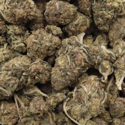 Strawberry Cough Strain Flower - Sativa Dominant Hybrid Strawberry Cough Strain Flower - Sativa Dominant Hybrid