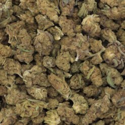Strawberry Cough Strain Flower - Sativa Dominant Hybrid