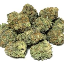 Allen Wrench Strain - Sativa Dominant Hybrid (Wholesale) Allen Wrench Strain - Sativa Dominant Hybrid (Wholesale)