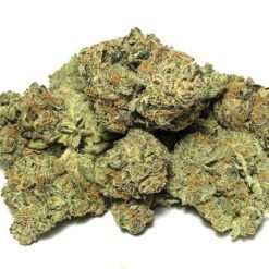 Banana OG Strain - Indica Dominant Hybrid (Wholesale) Banana OG Strain - Indica Dominant Hybrid (Wholesale)