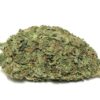 Berry White Strain - Indica (Wholesale) Berry White Strain - Indica (Wholesale)