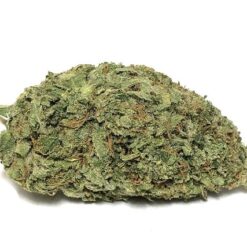 Berry White Strain - Indica (Wholesale)